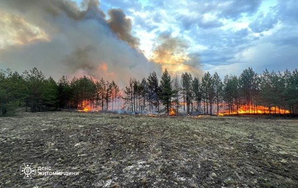 Лісові пожежі вирують у чотирьох областях