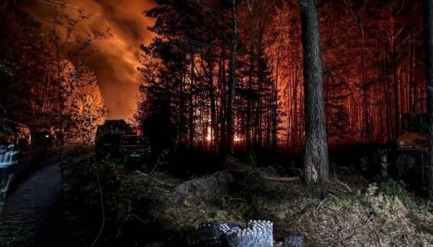 У Зоні відчуження на Київщині триває ліквідація лісової пожежі