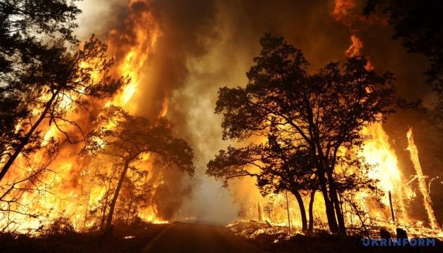 Через пожежі в екосистемах України вигоріли майже 2250 гектарів землі